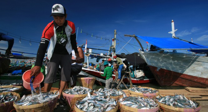 KOMIRA Tumbuh Besar  Berkat Jamkrindo