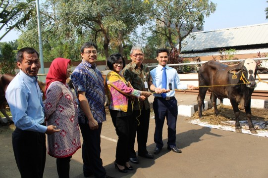 AKSI PEDULI